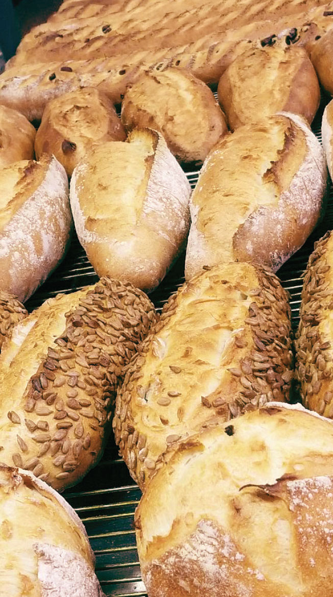 breads fresh bread